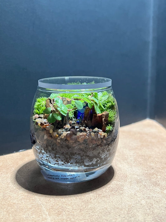 Terrarium 663