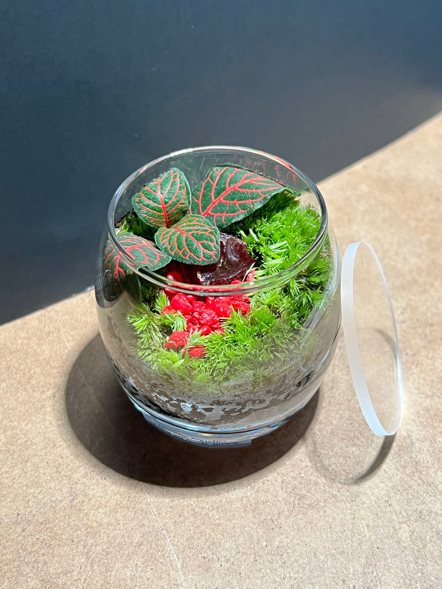 Terrarium 664