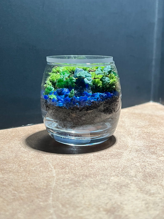 Terrarium 666