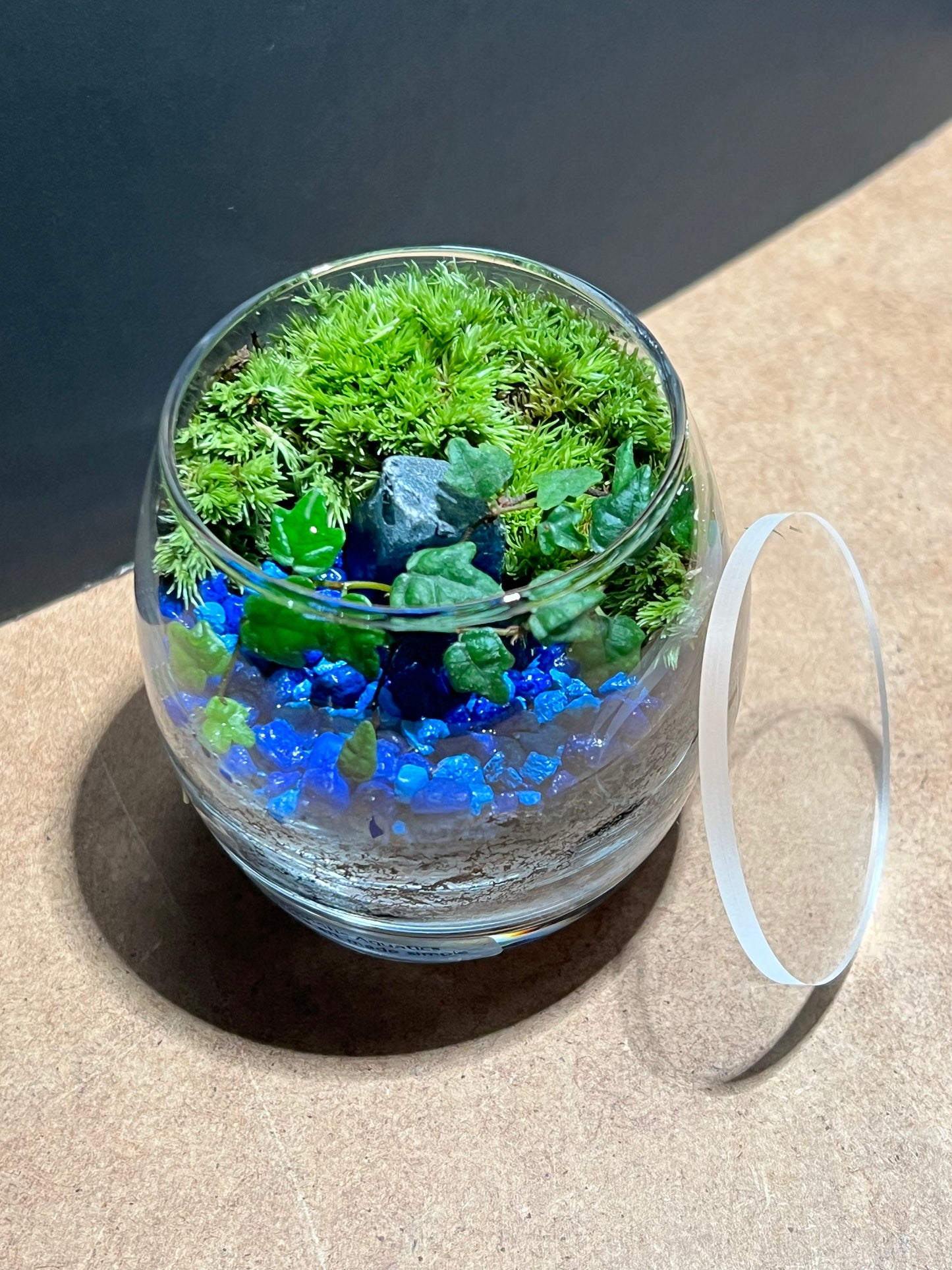 Terrarium 666