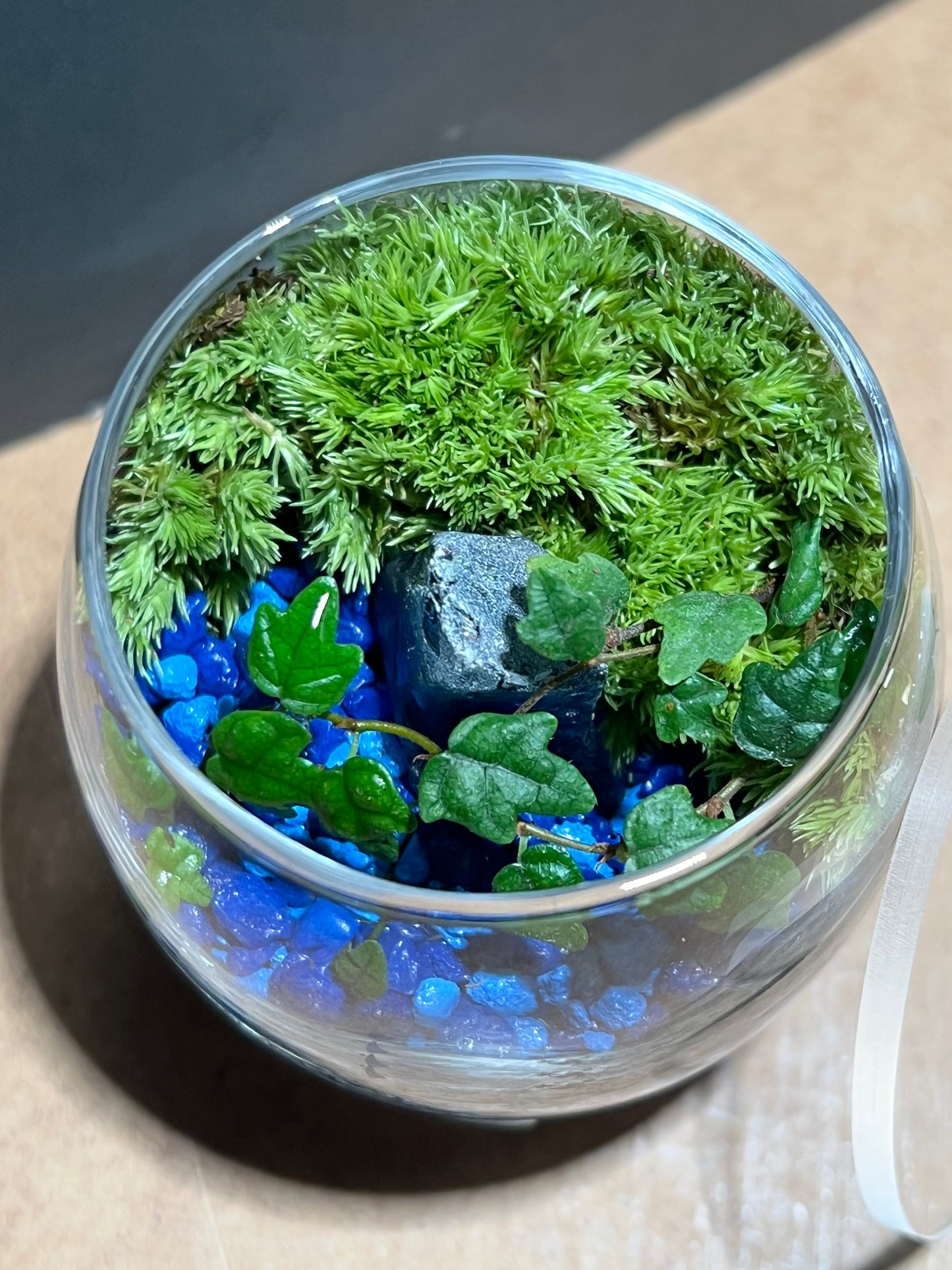 Terrarium 666