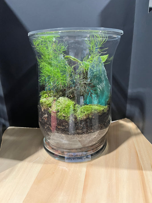 Terrarium 684