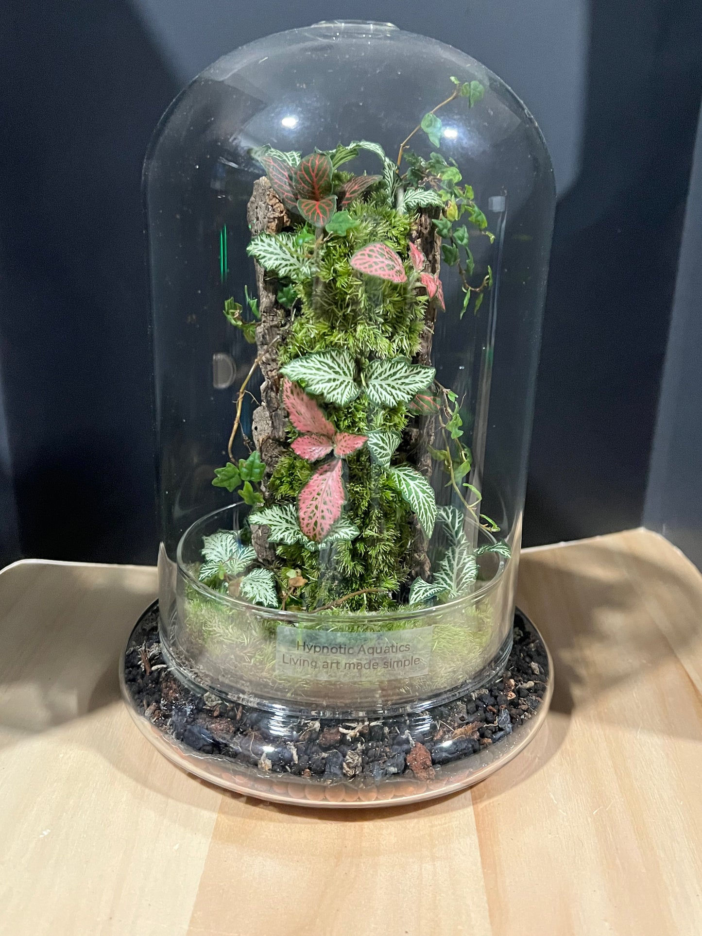 Terrarium 688