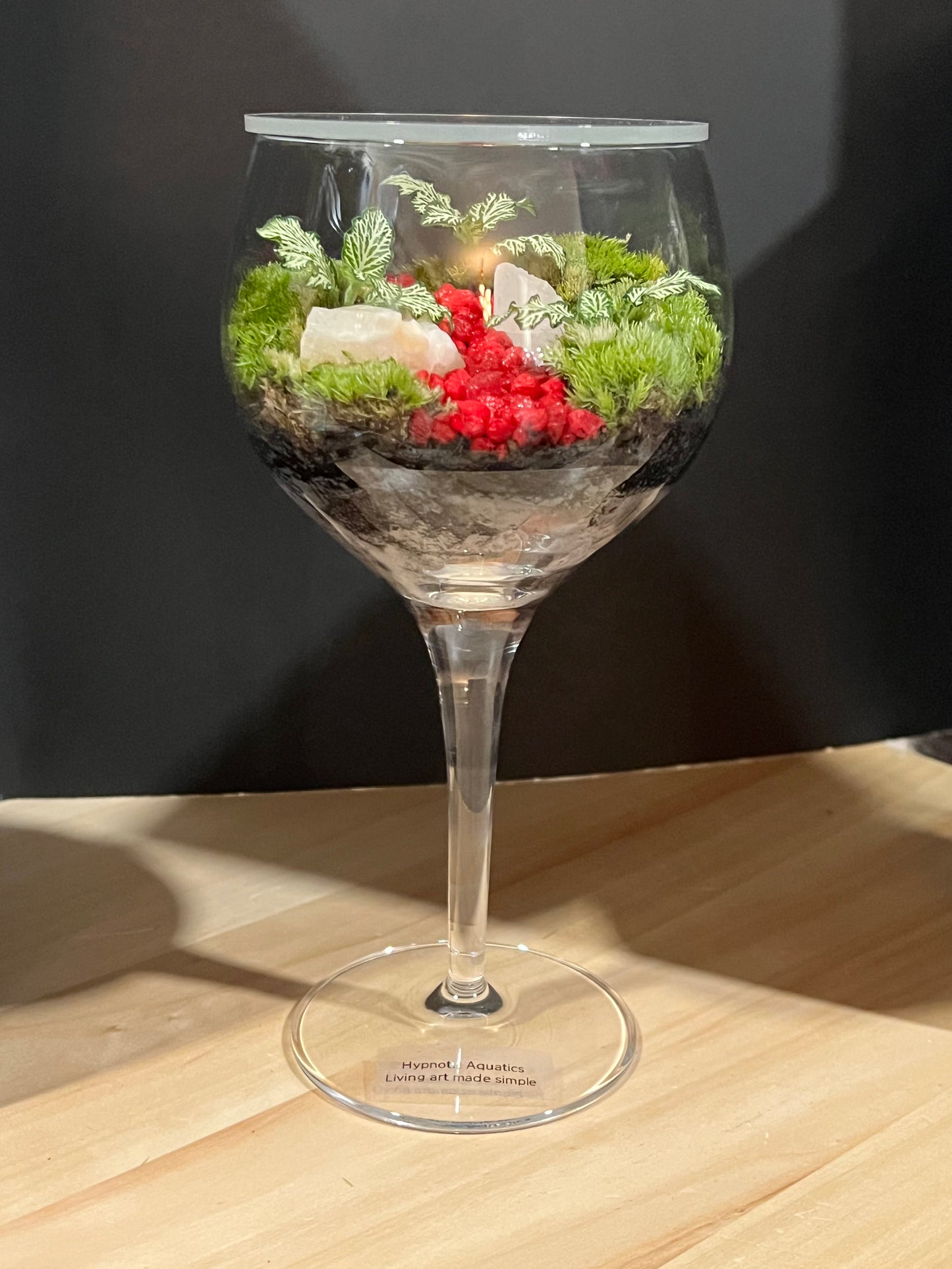 Terrarium 689