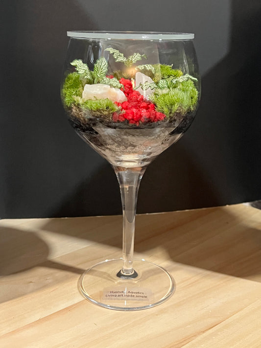 Terrarium 689