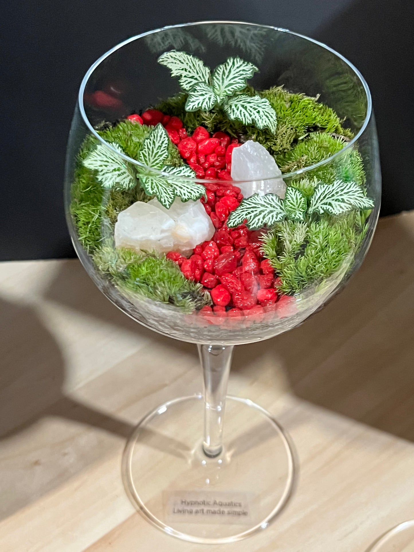 Terrarium 689