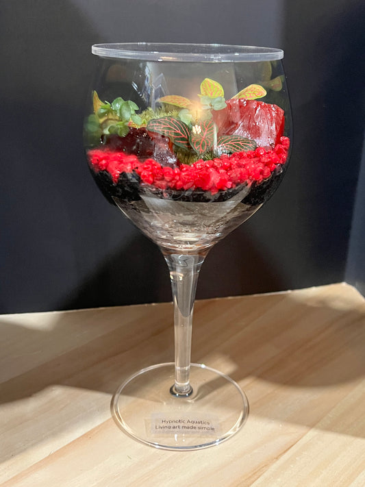 Terrarium 690