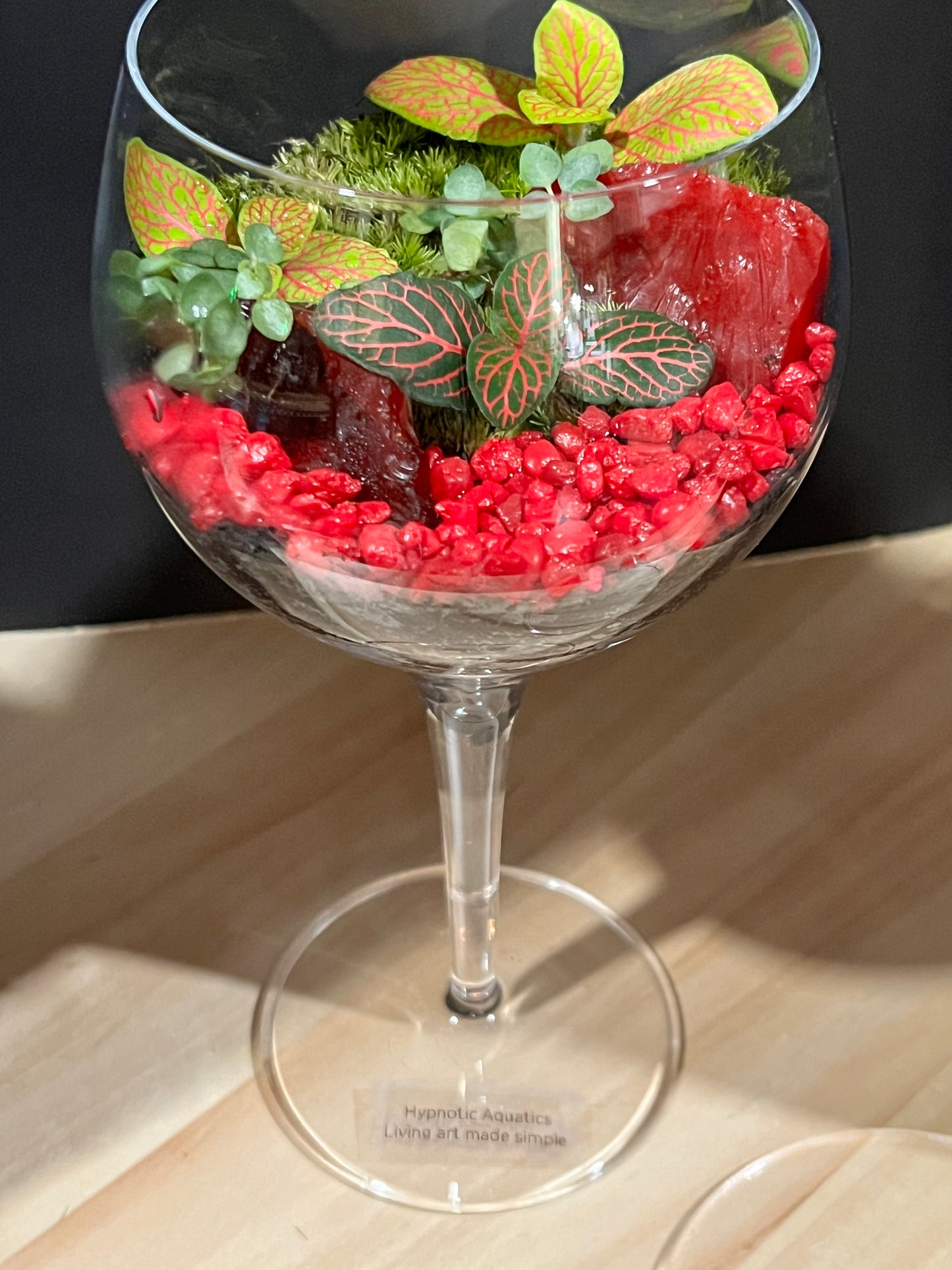 Terrarium 690