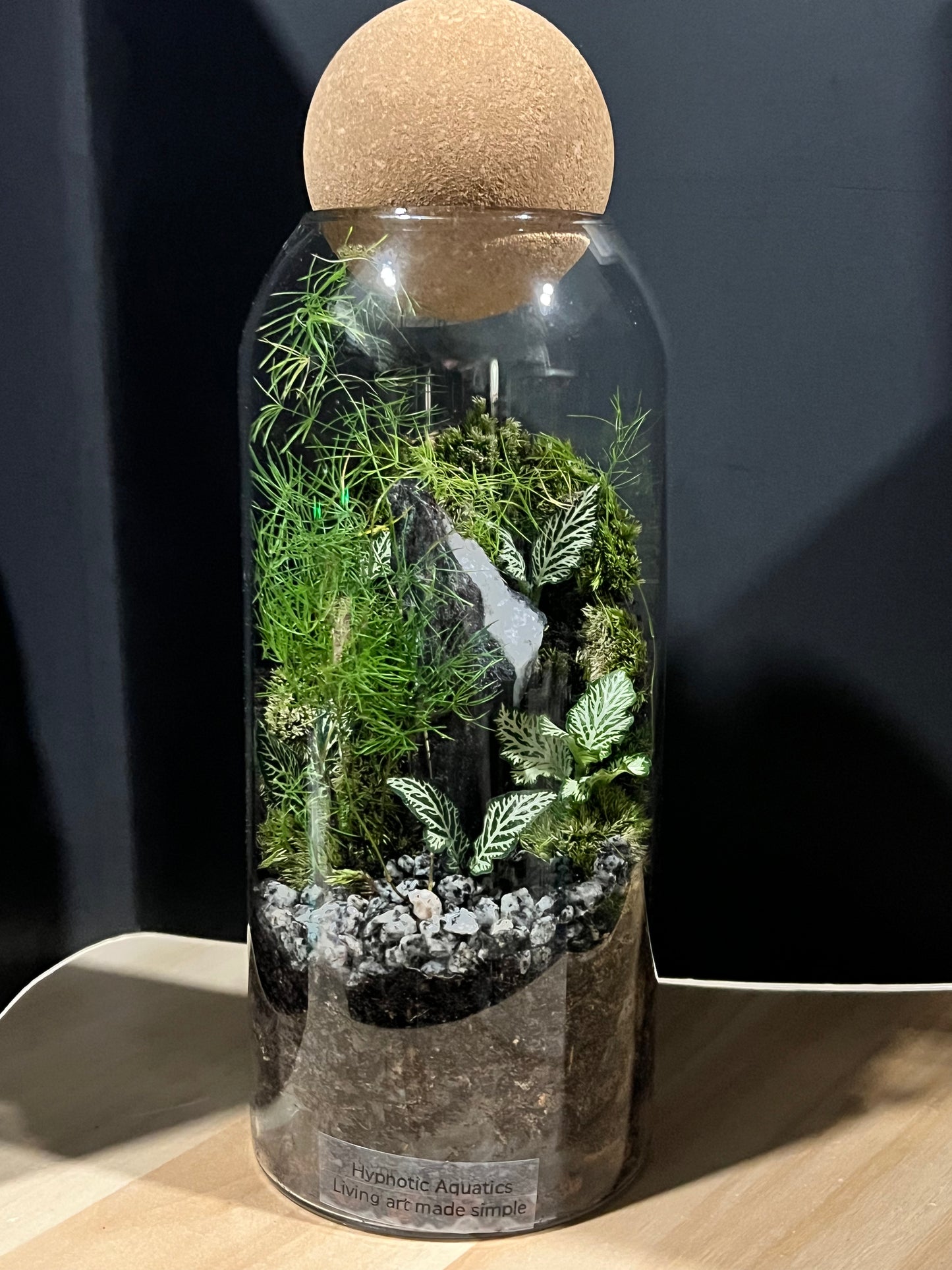Terrarium 691