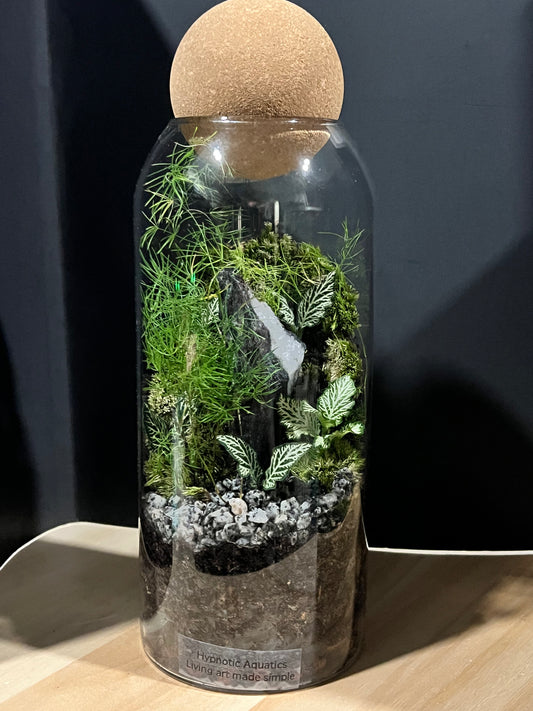 Terrarium 691