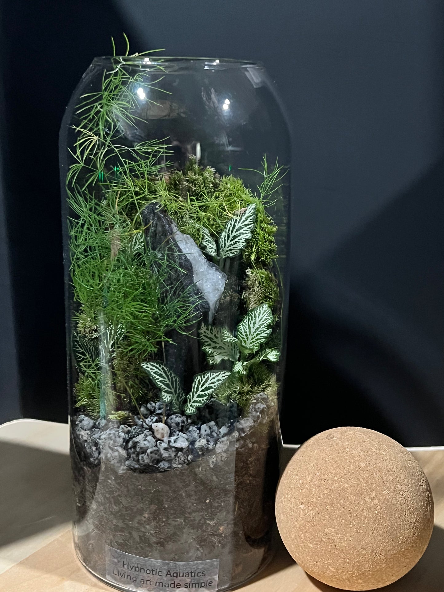 Terrarium 691