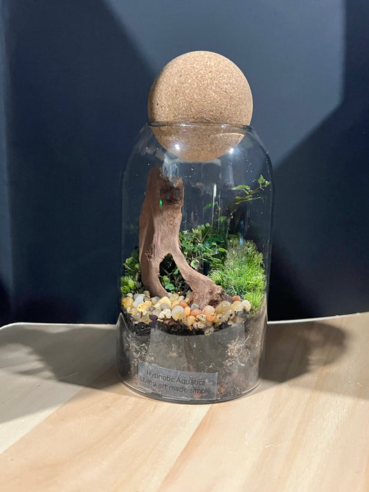 Terrarium 692
