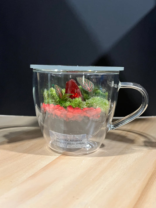 Terrarium 693
