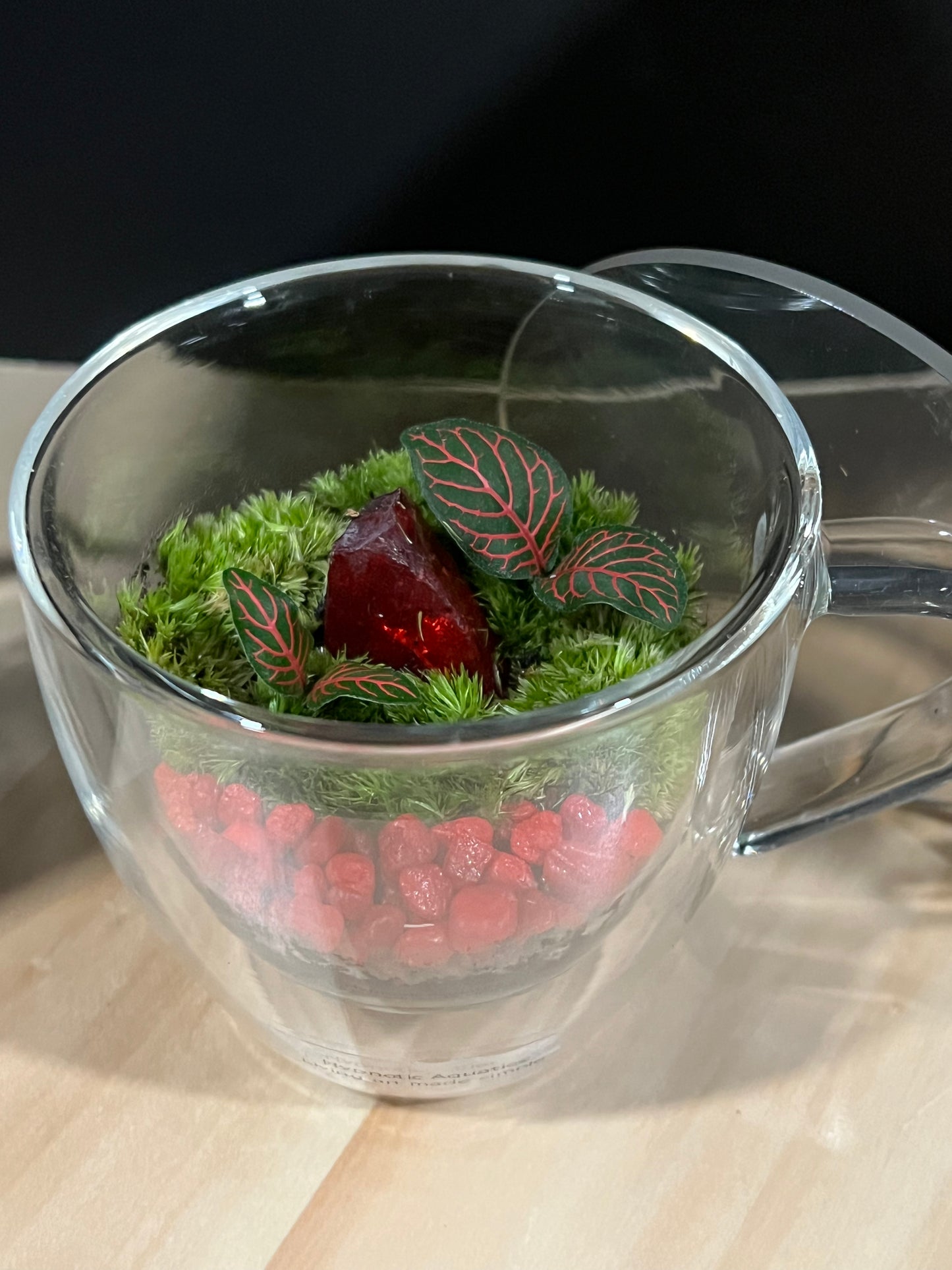 Terrarium 693
