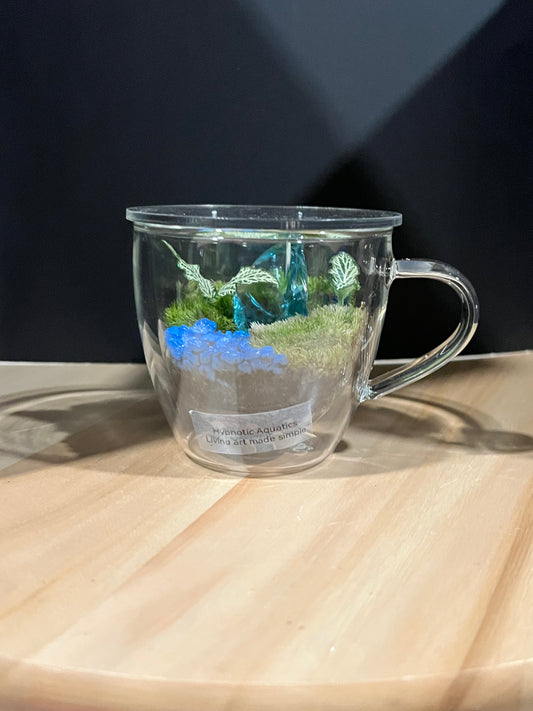 Terrarium 694