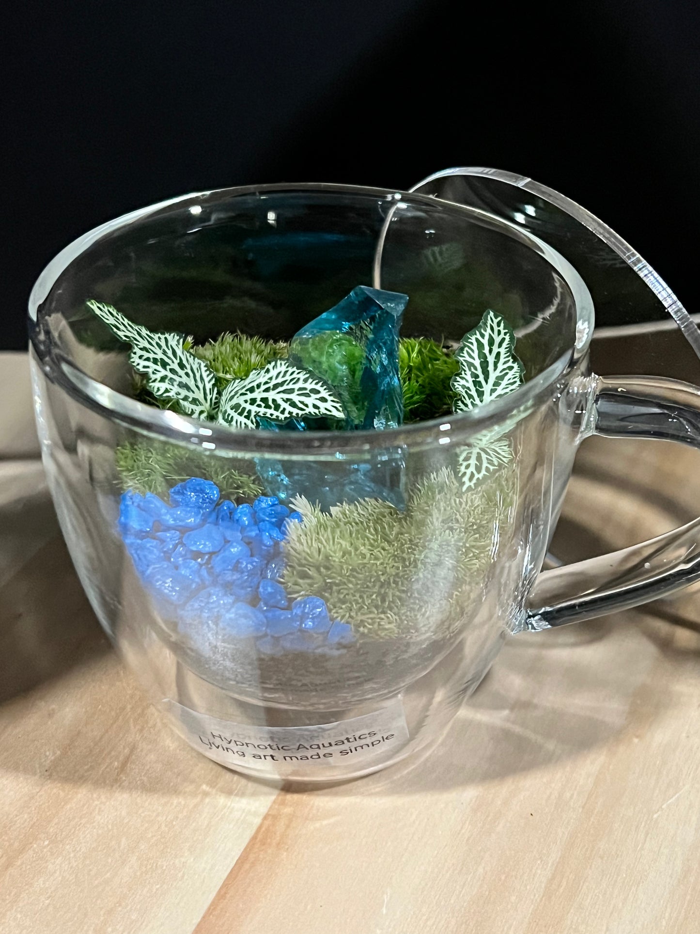 Terrarium 694