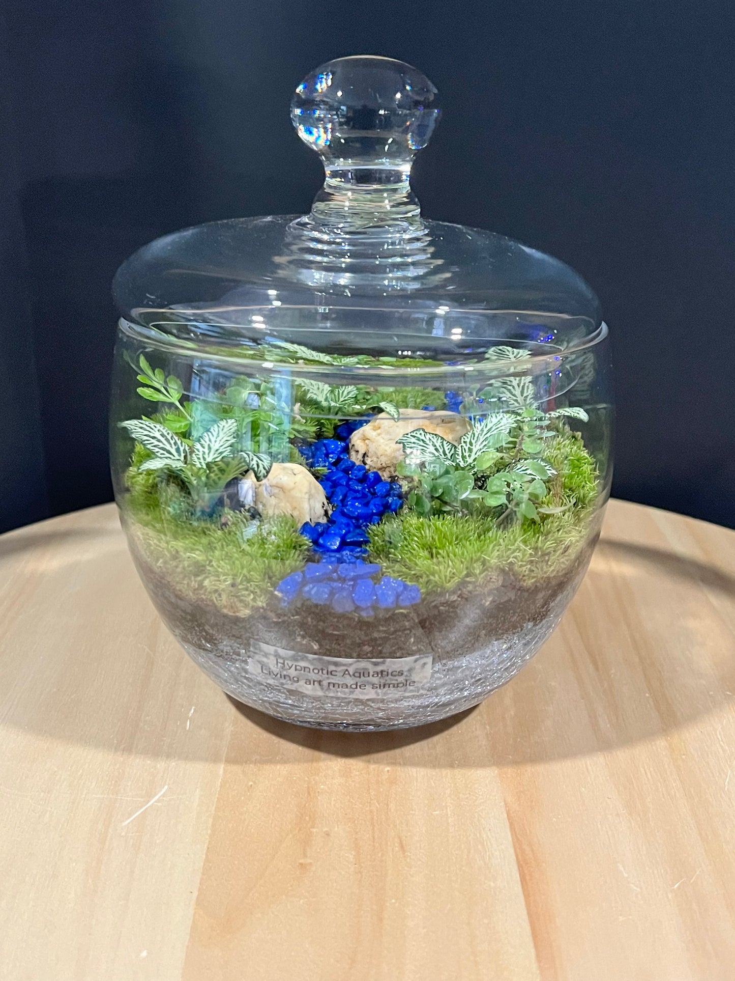 Terrarium 700