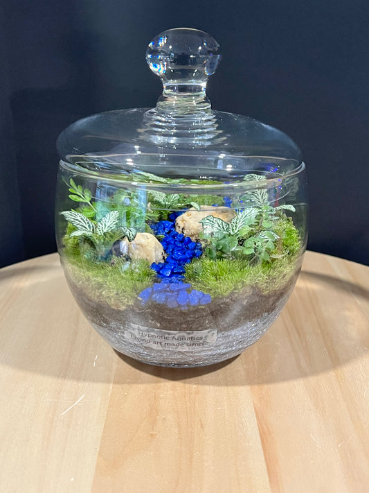 Terrarium 700