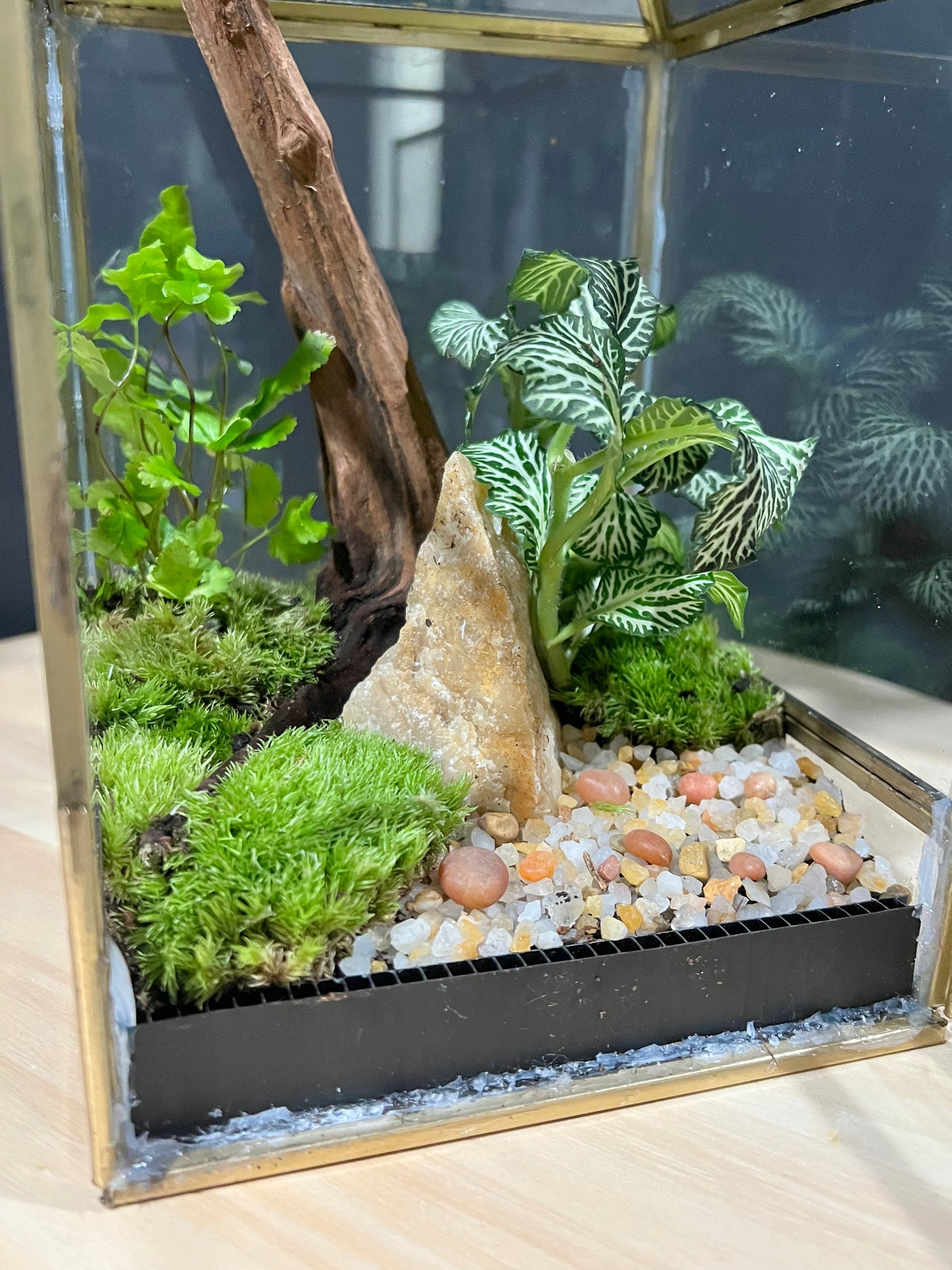 Terrarium 705