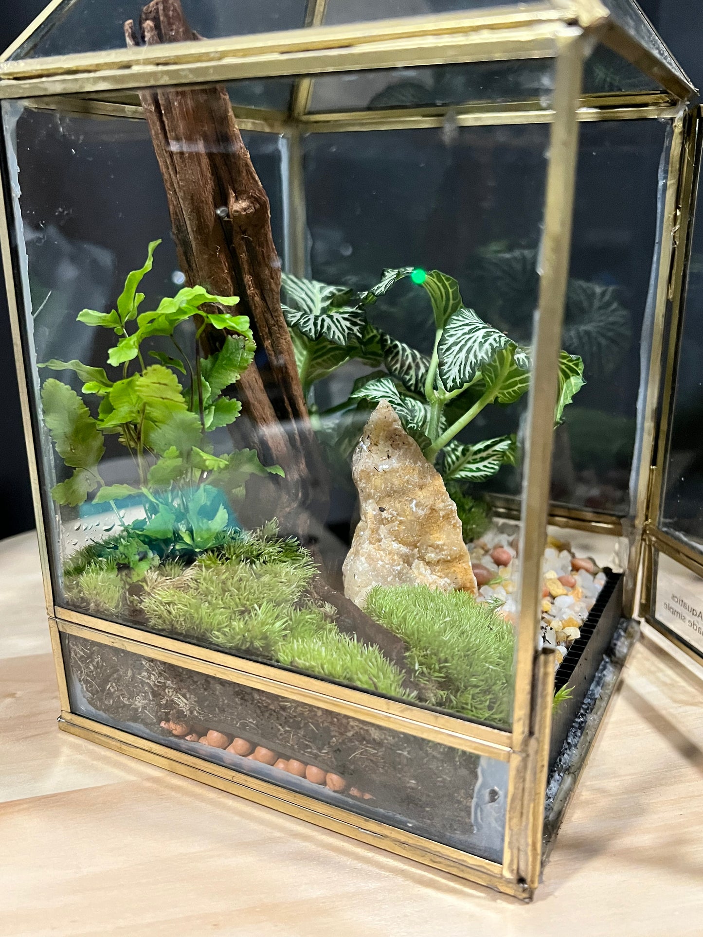Terrarium 705