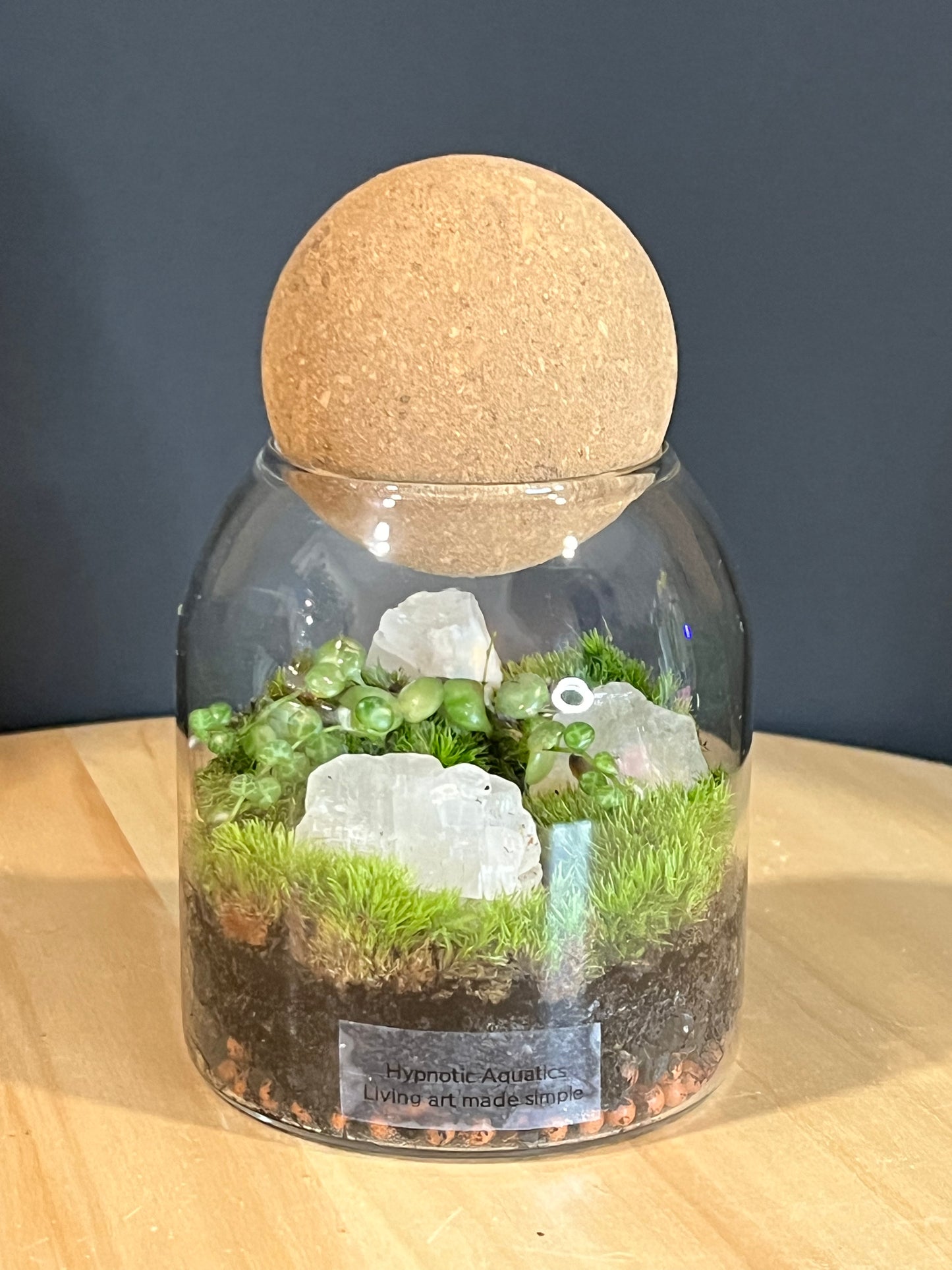 Terrarium 706