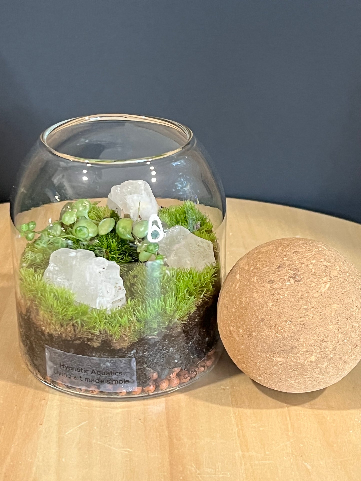 Terrarium 706