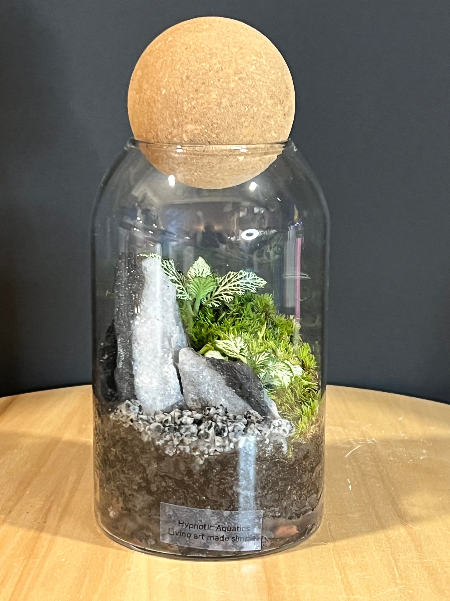 Terrarium 707