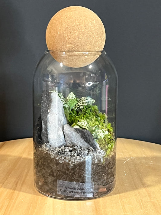 Terrarium 707
