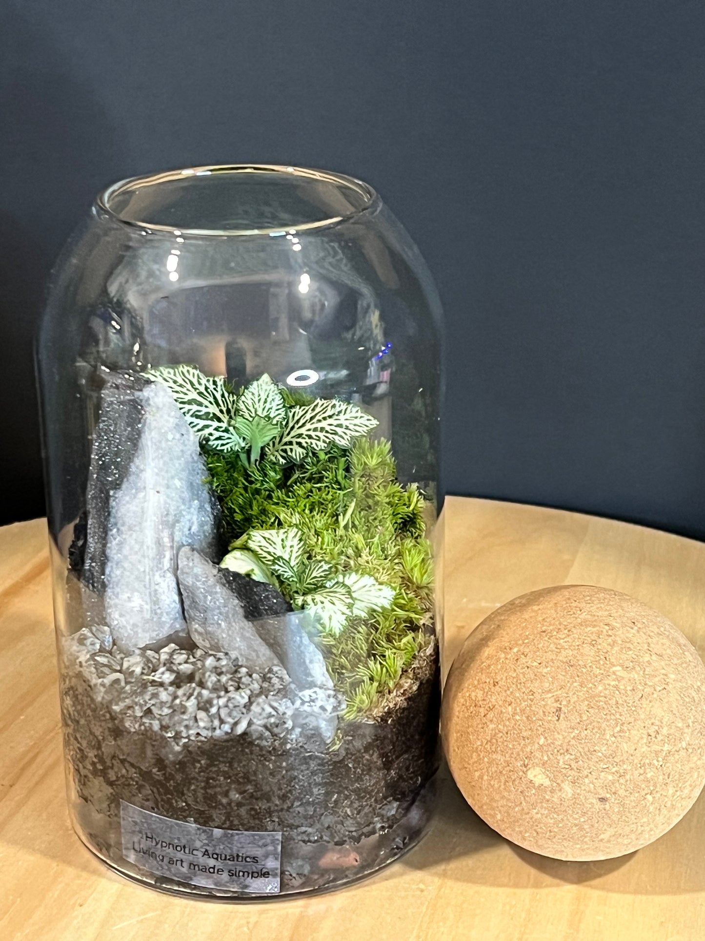 Terrarium 707