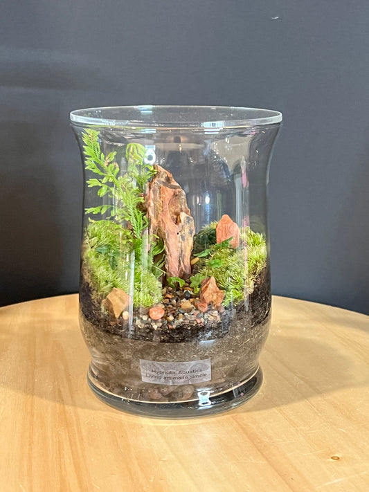 Terrarium 710
