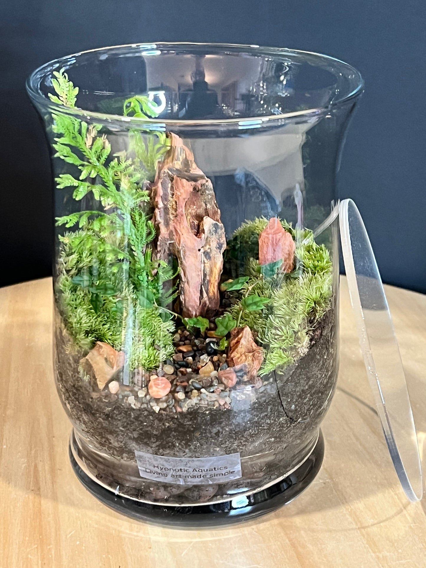 Terrarium 710