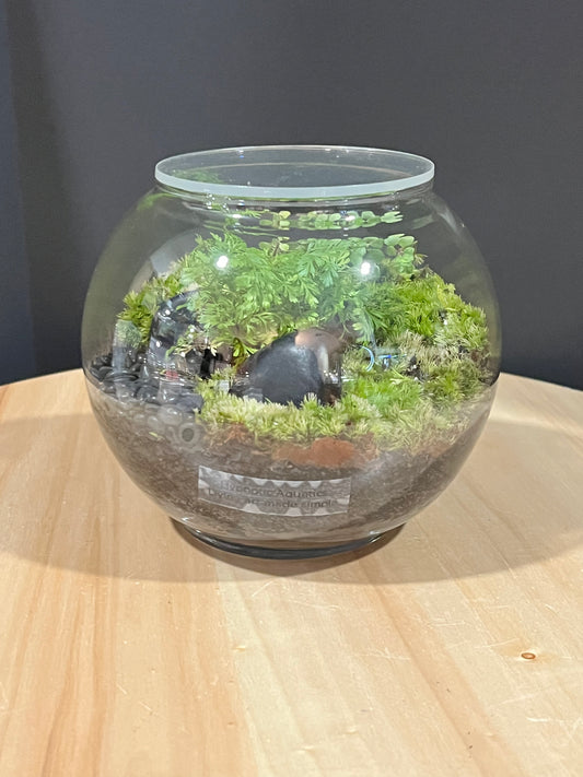 Terrarium 712