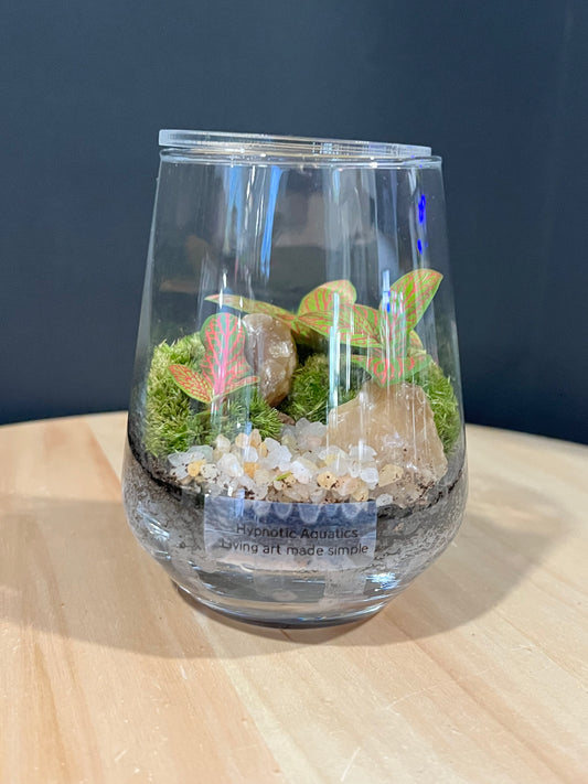 Terrarium 717