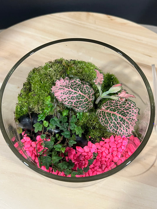Terrarium 720