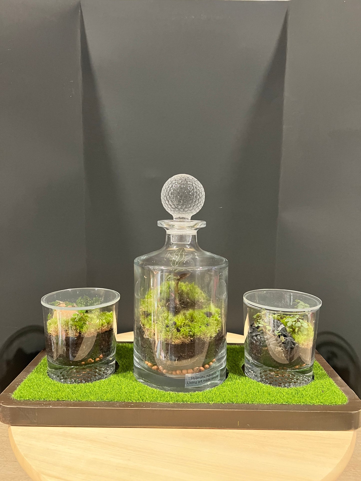 Terrarium 721 SETI : Set of 3