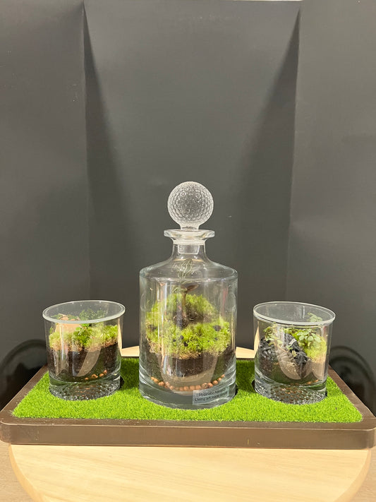 Terrarium 721 SETI : Set of 3