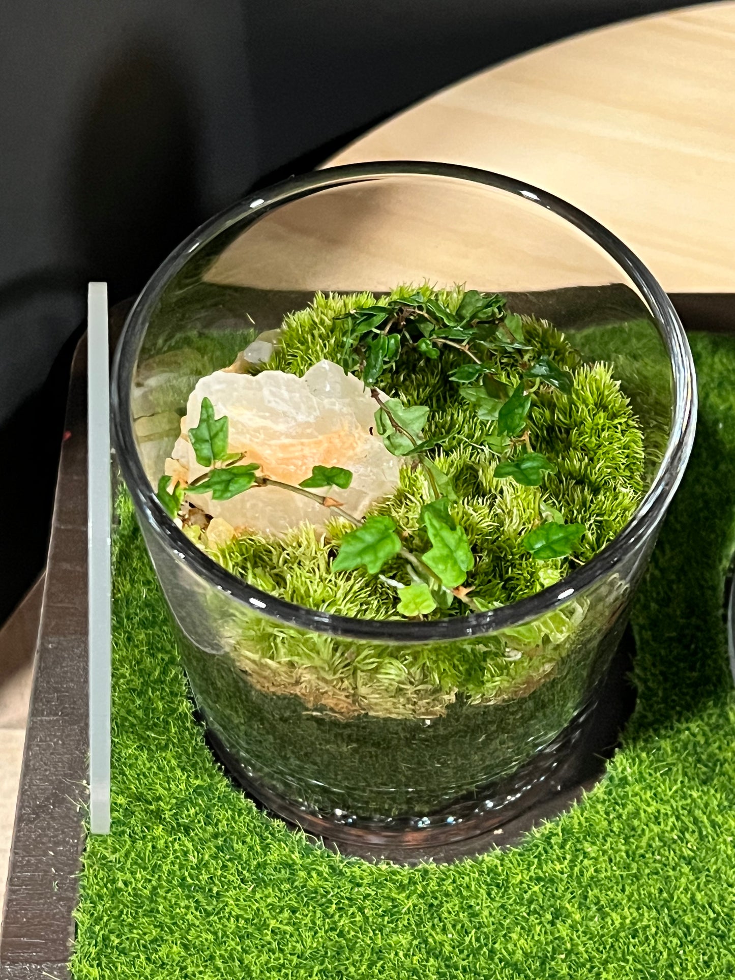 Terrarium 721 SETI : Set of 3