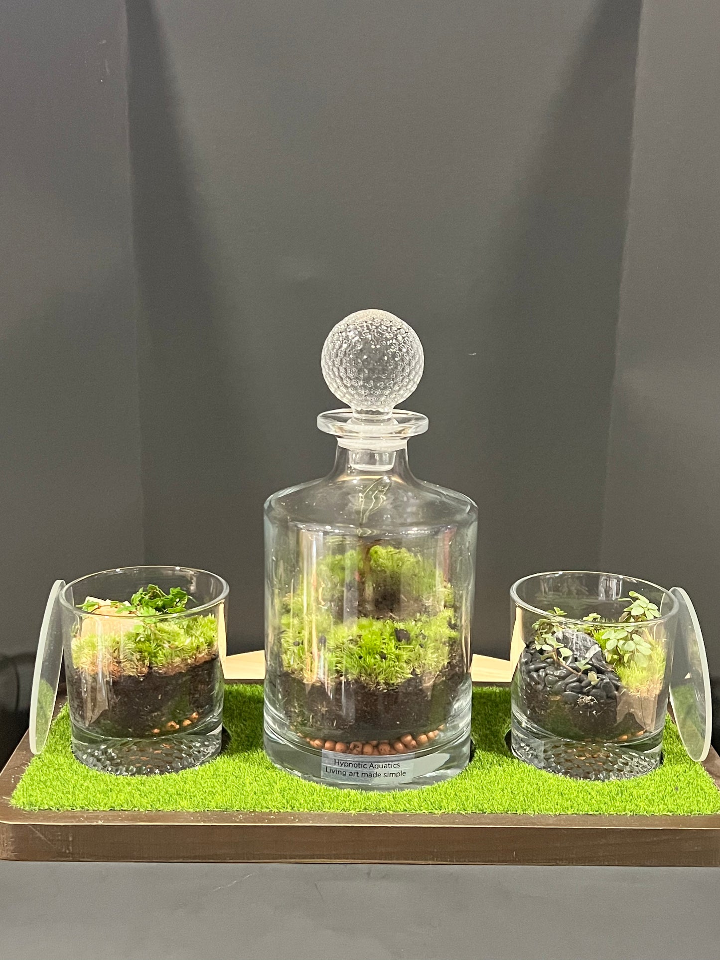 Terrarium 721 SETI : Set of 3