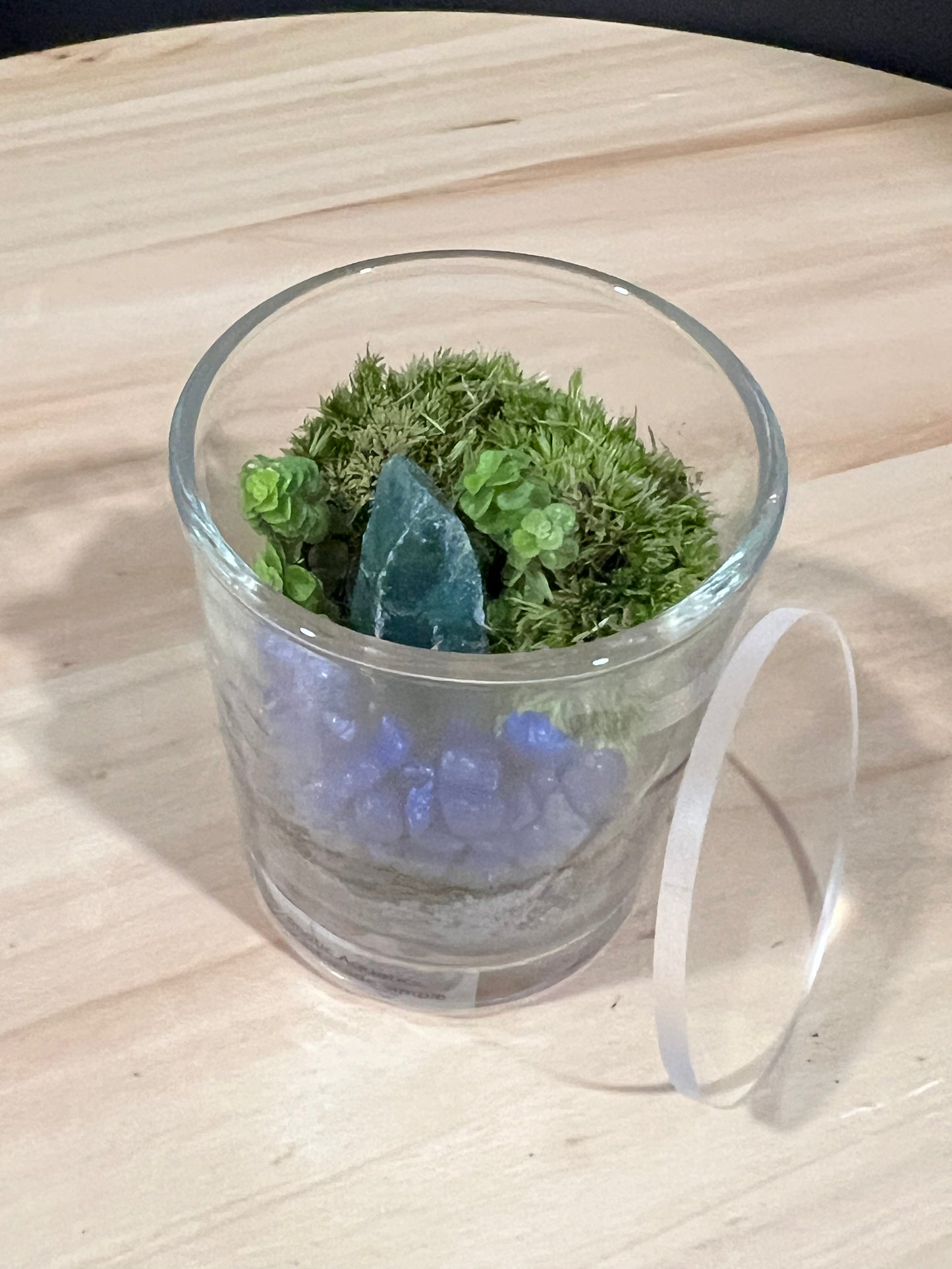 Terrarium 723