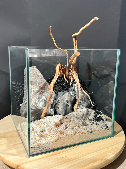 Aquarium: Hardscape Sieryu/Spider
