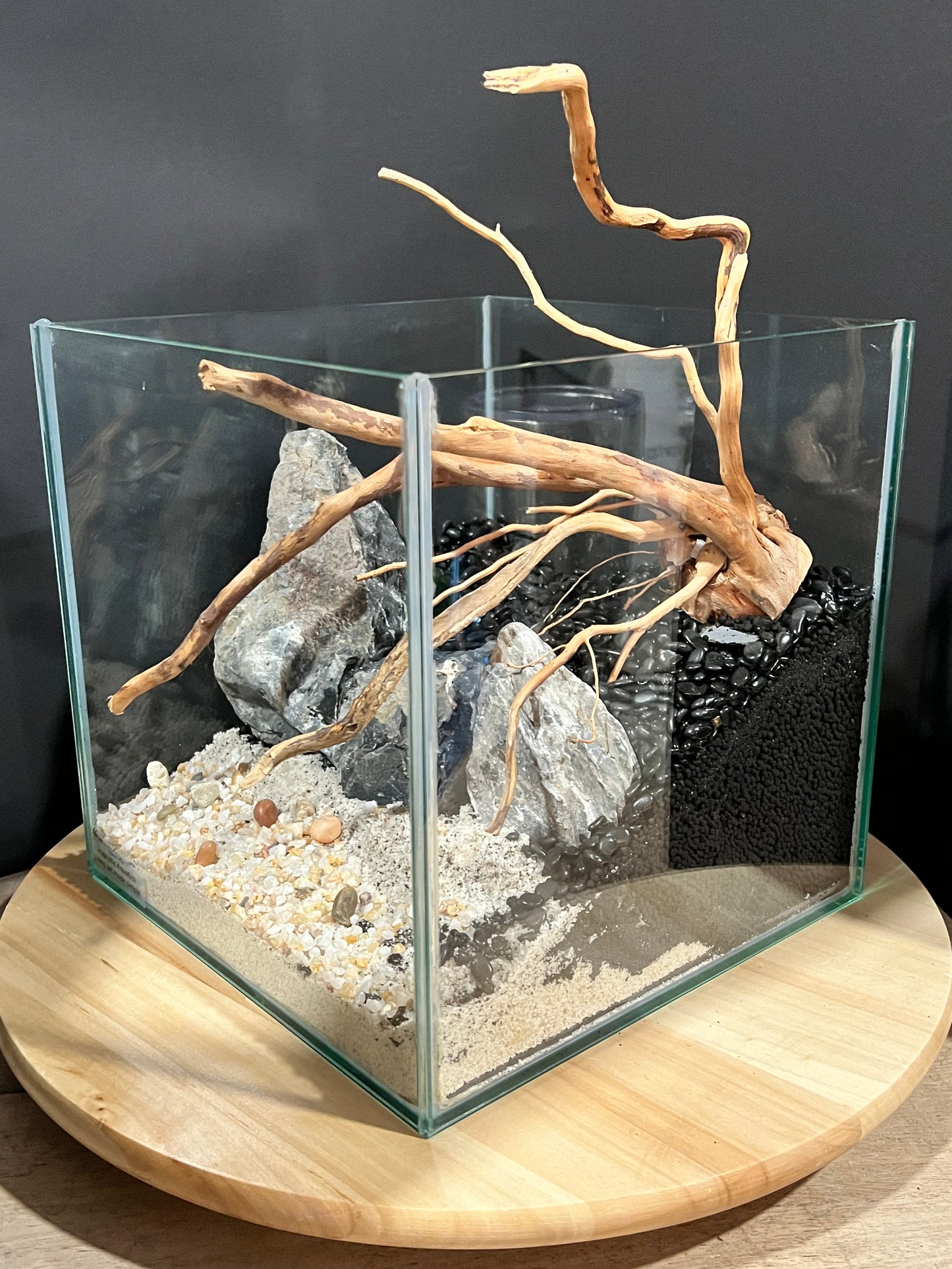 Aquarium: Hardscape Sieryu/Spider