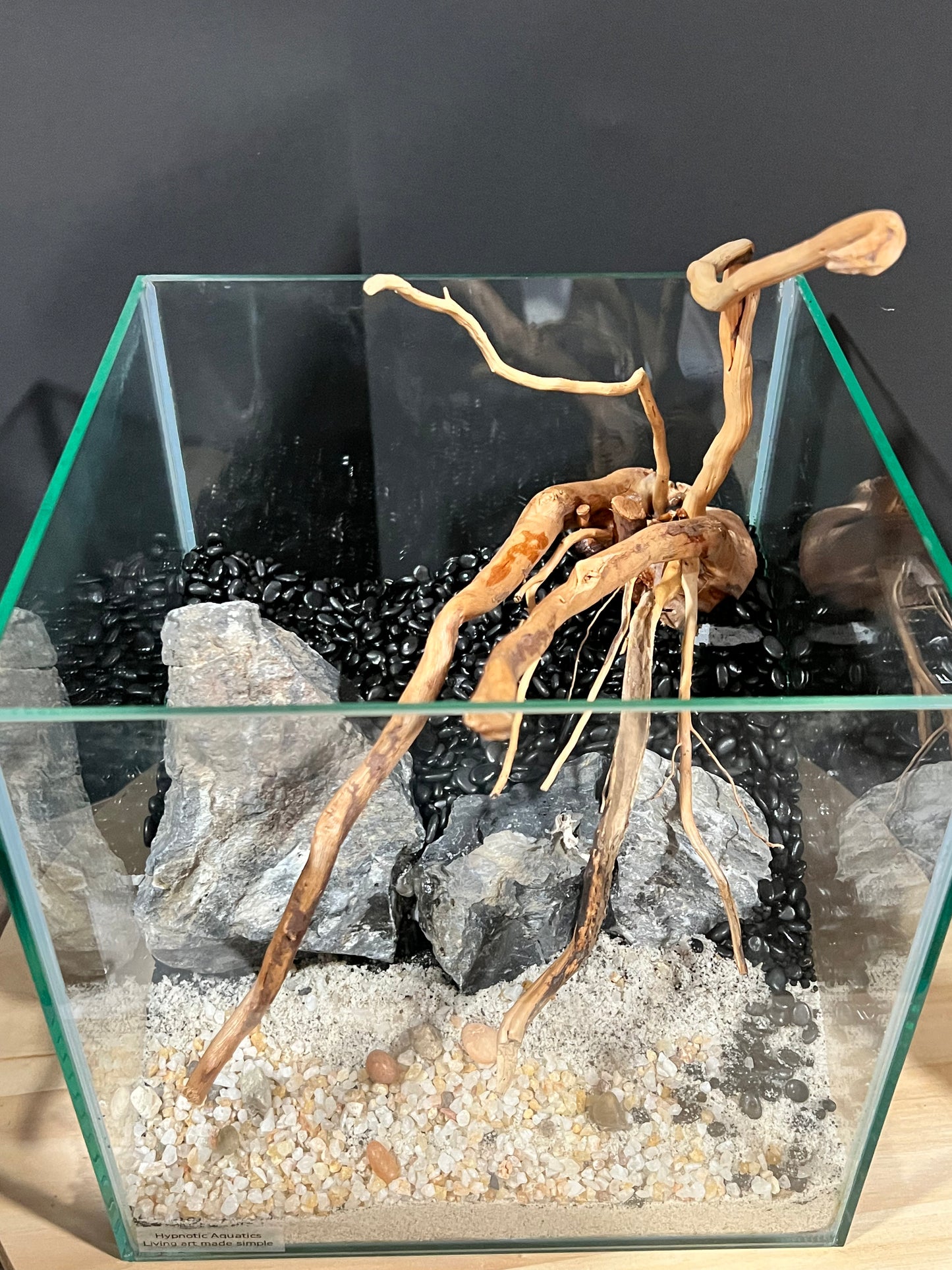 Aquarium: Hardscape Sieryu/Spider