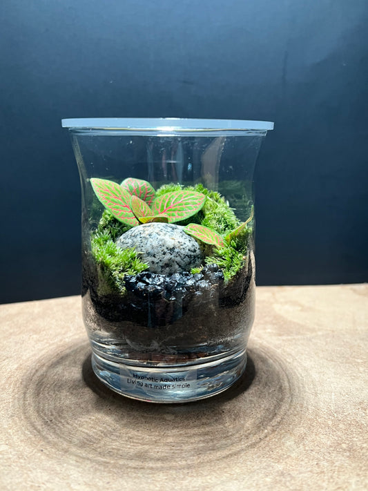 Terrarium 676
