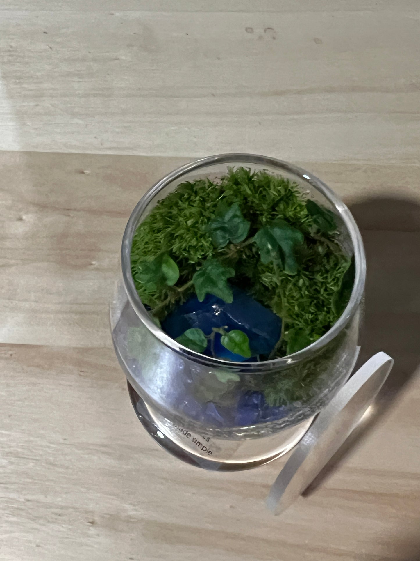Terrarium 732