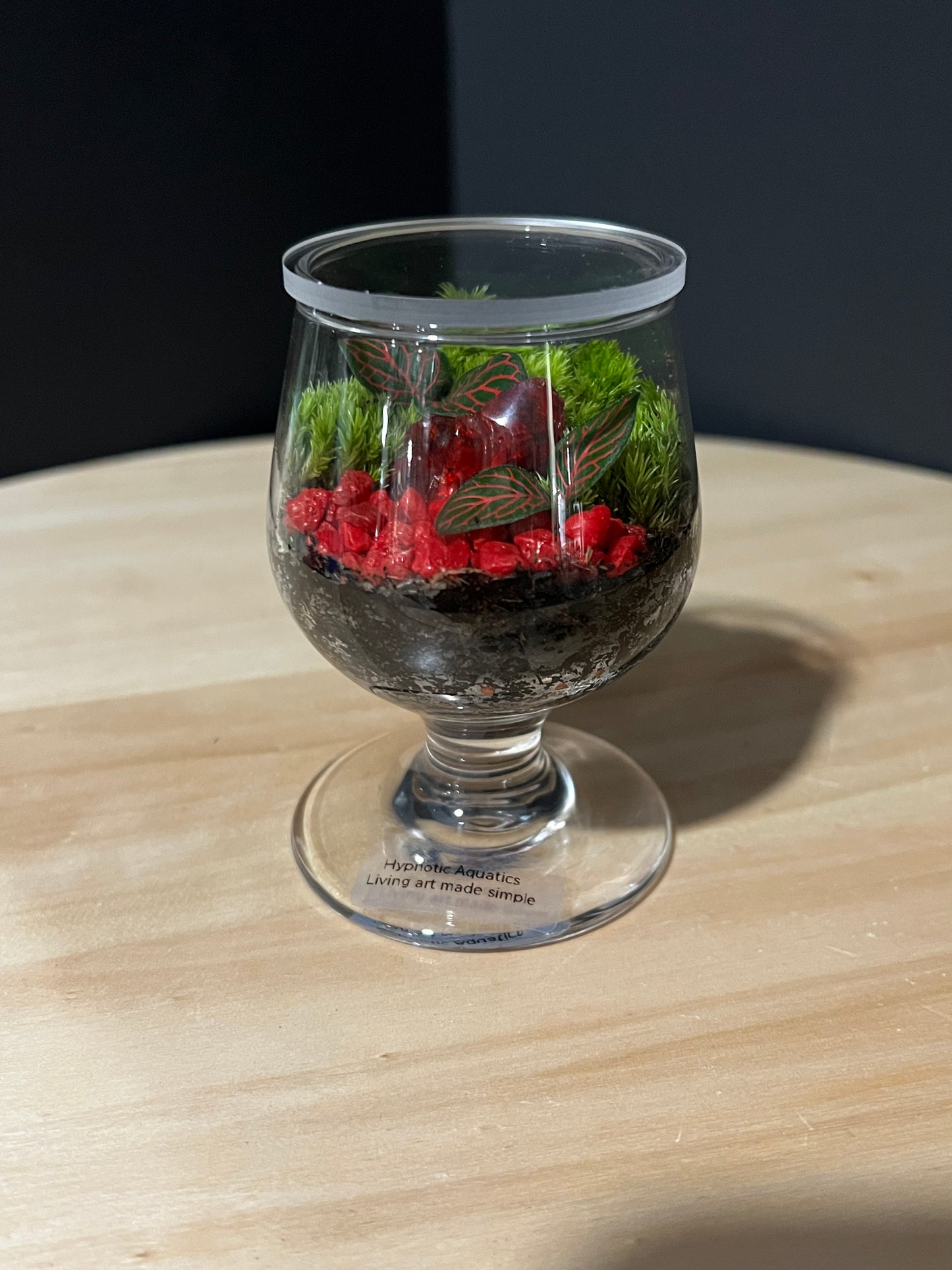 Terrarium 733