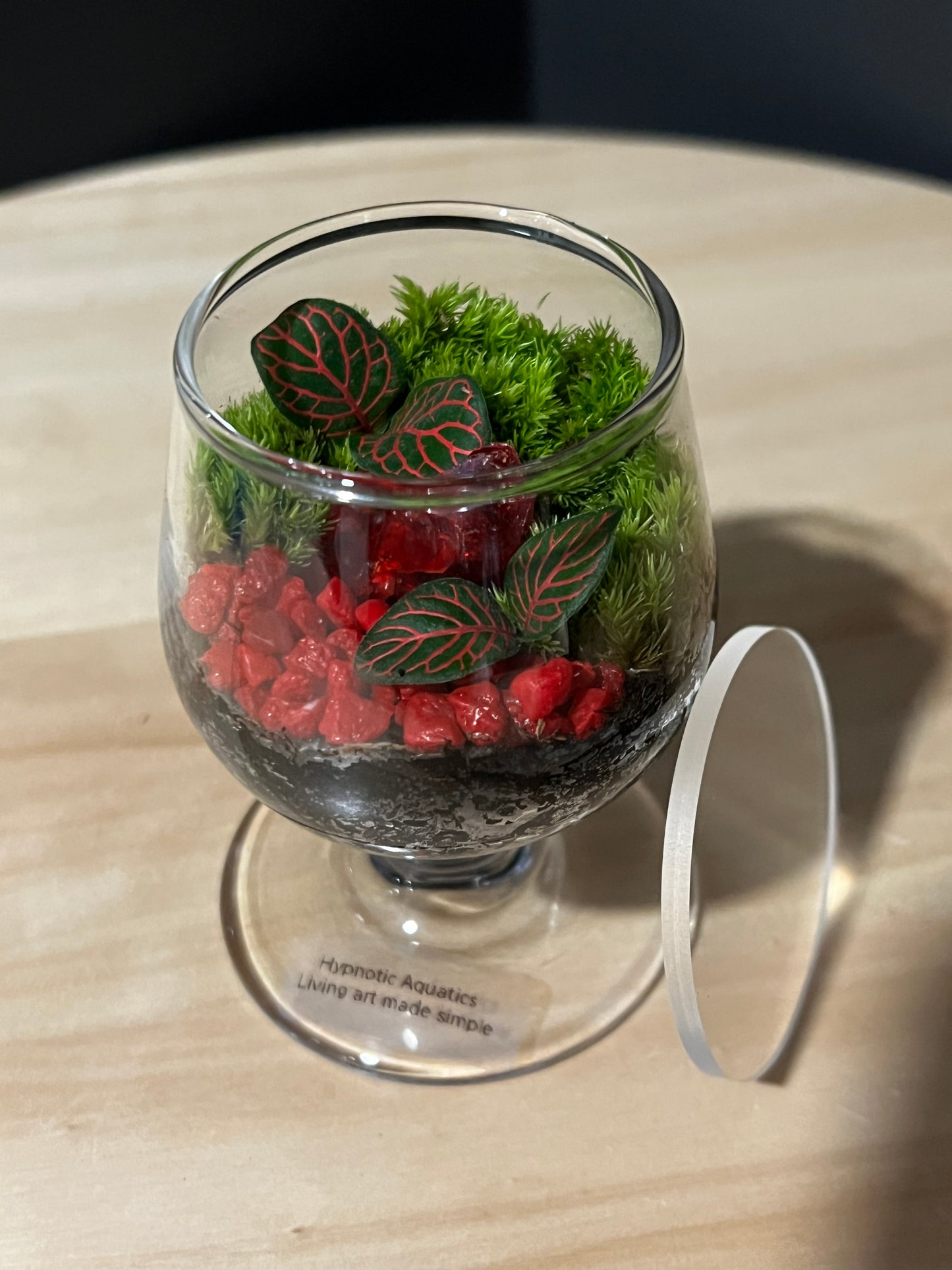 Terrarium 733