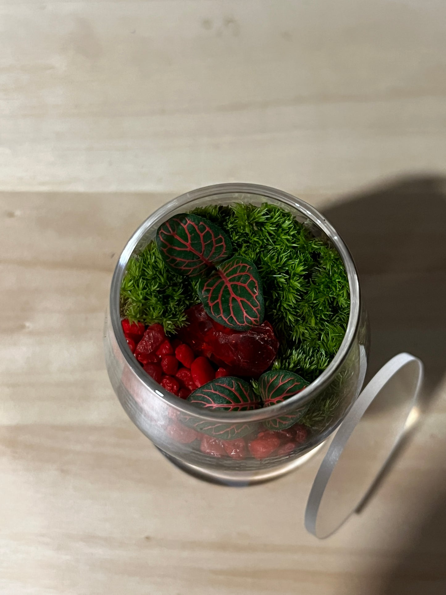 Terrarium 733