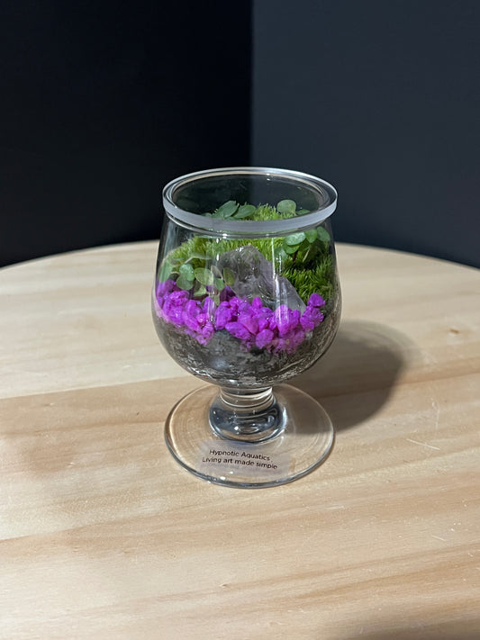 Terrarium 734