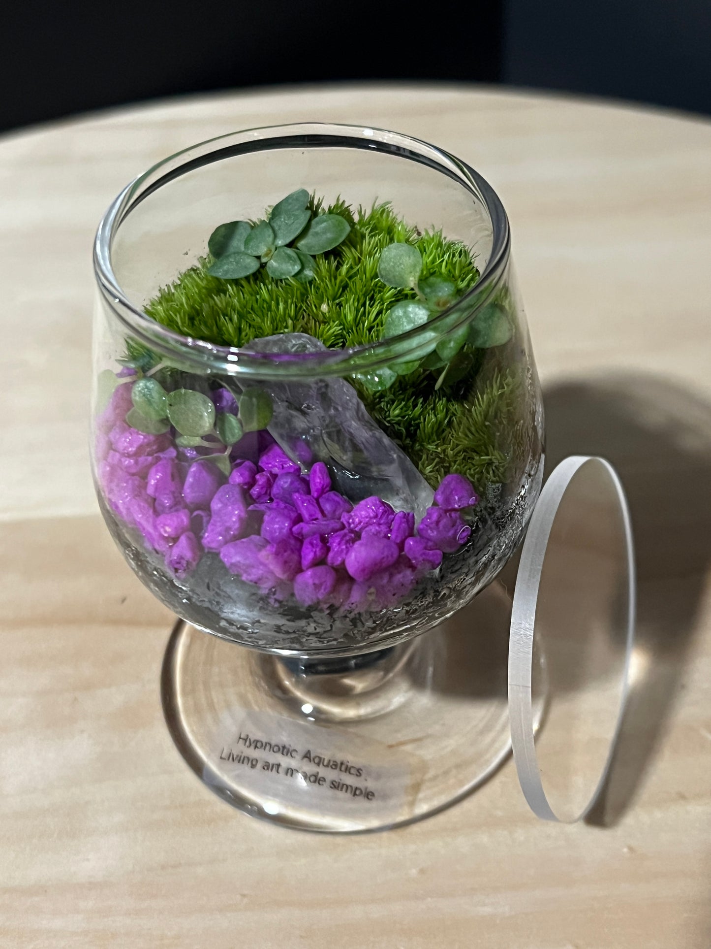 Terrarium 734