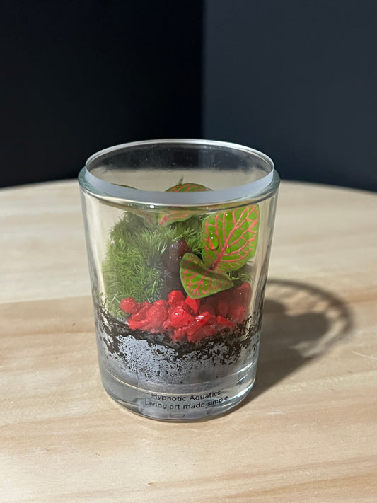 Terrarium 735